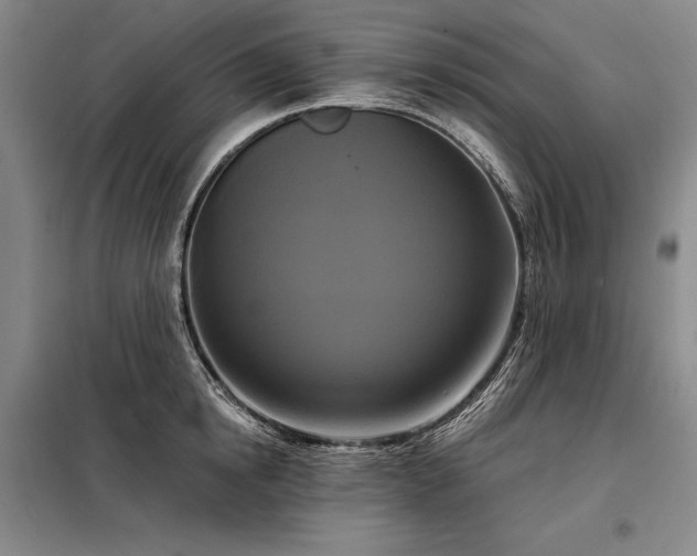 X0000098210854200805011209