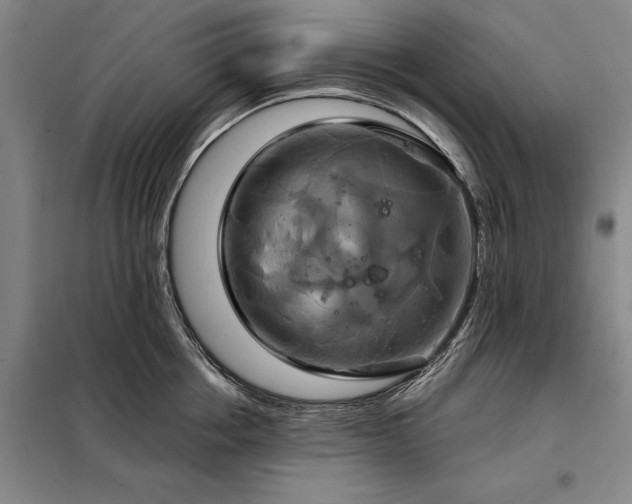 X0000098210858200805011209