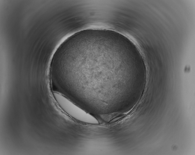 X0000098210864200805011209