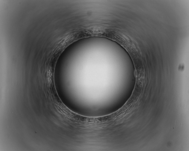 X0000098210866200805011208