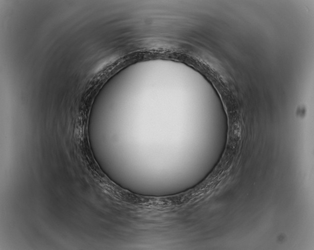 X0000098210869200805011208