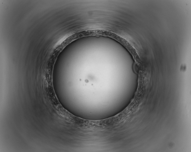 X0000098210871200805011208