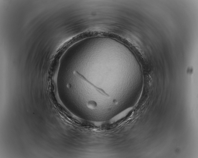 X0000098210872200805011208