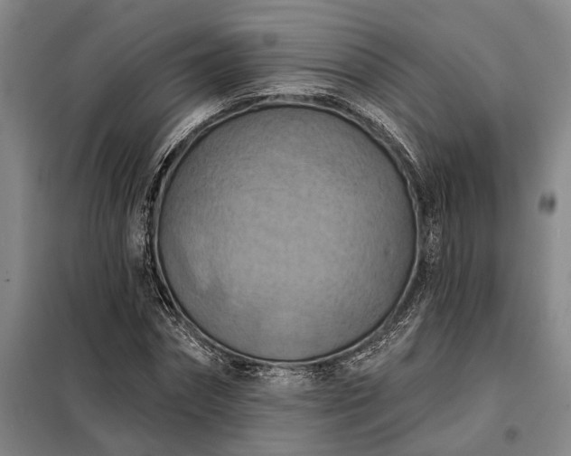 X0000098210874200805011208