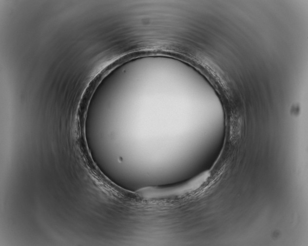 X0000098210876200805011208