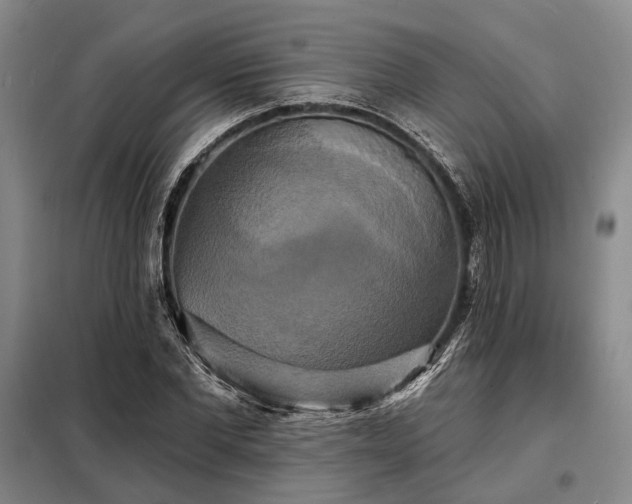 X0000098210877200805011208