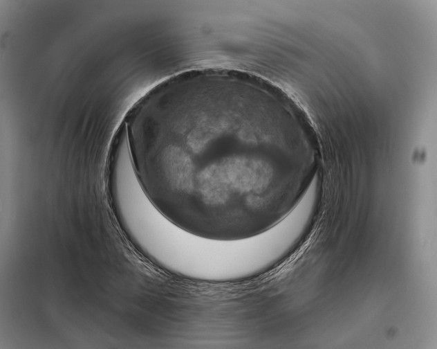 X0000098210879200805011208