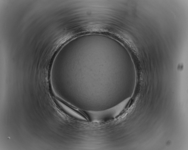 X0000098210881200805011208