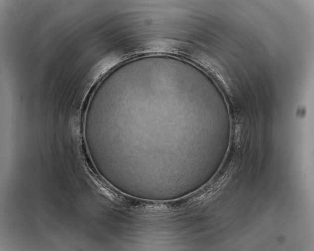 X0000098210882200805011208