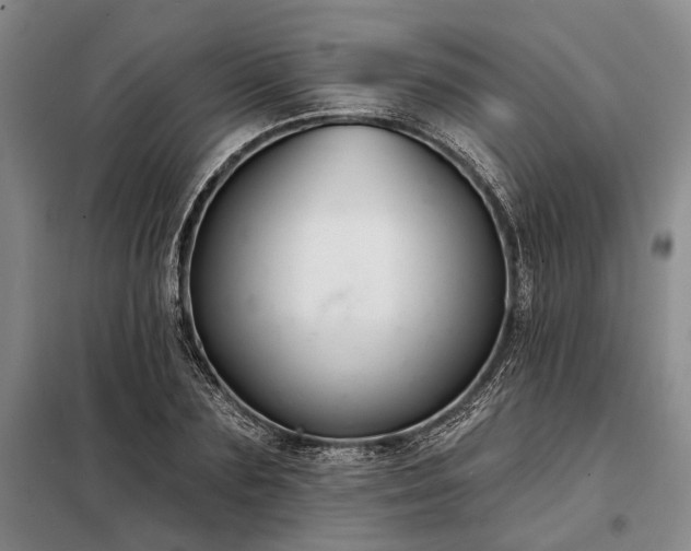 X0000098210883200805011208
