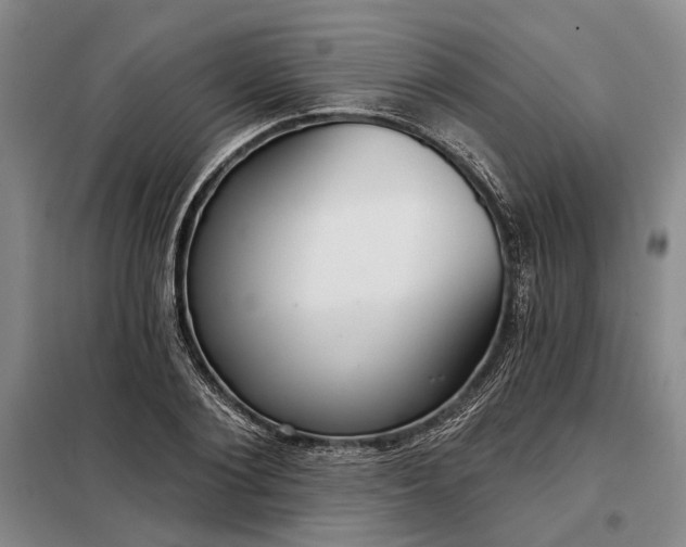 X0000098210884200805011208