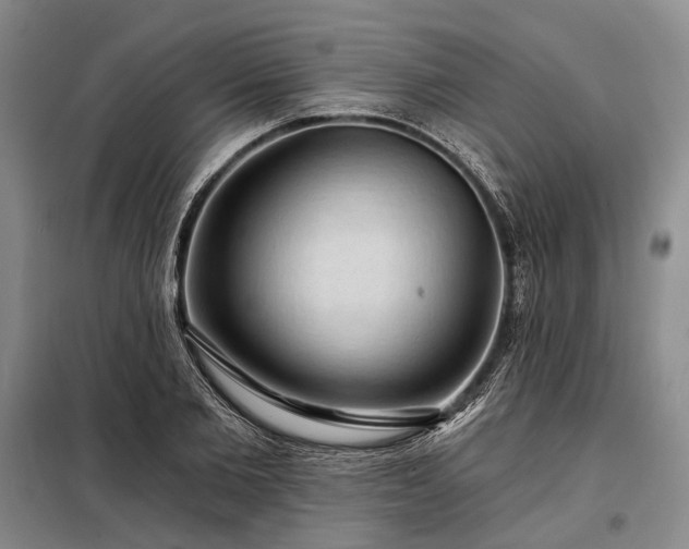 X0000098210885200805011208