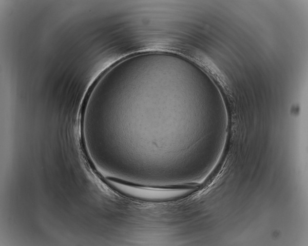 X0000098210892200805011208