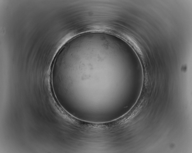 X0000098210899200805011208
