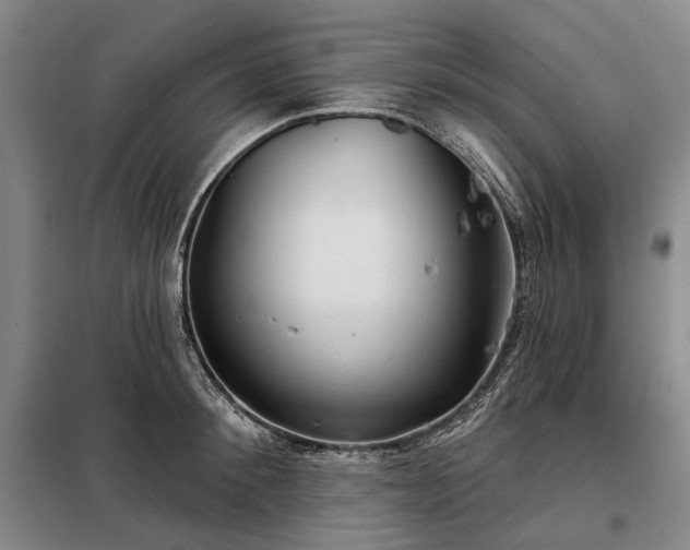 X0000098210900200805011208