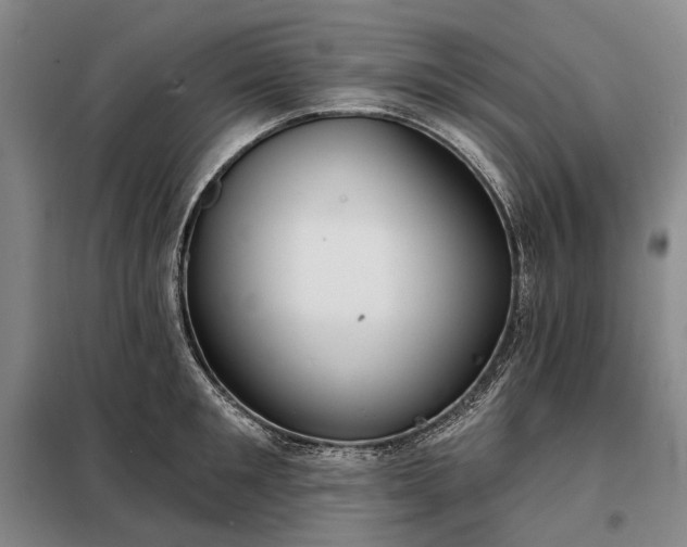 X0000098210901200805011208