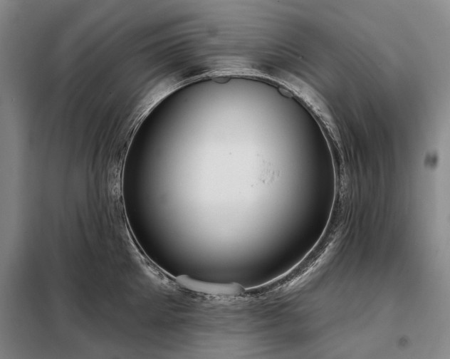 X0000098210905200805011208