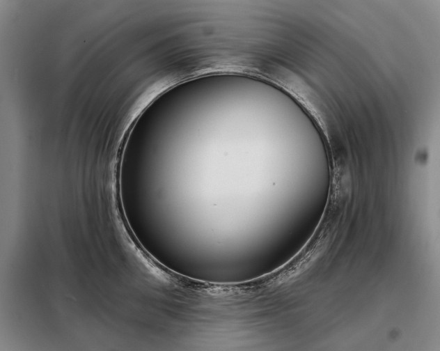 X0000098210906200805011208