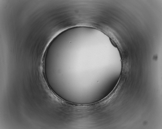 X0000098210908200805011208