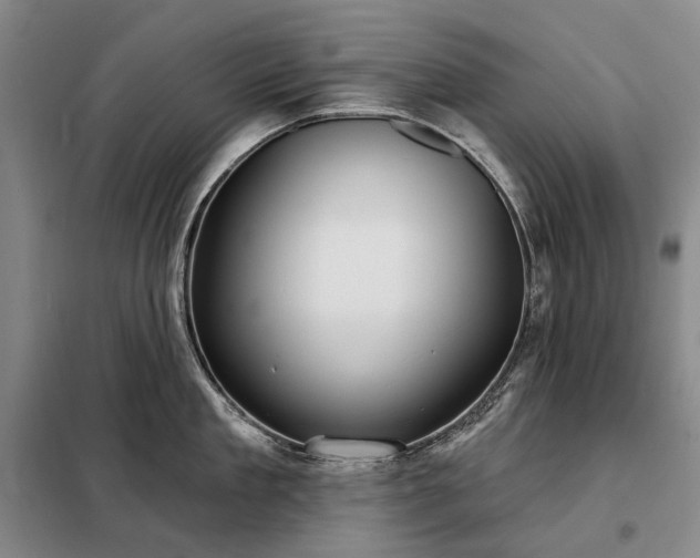 X0000098210909200805011208