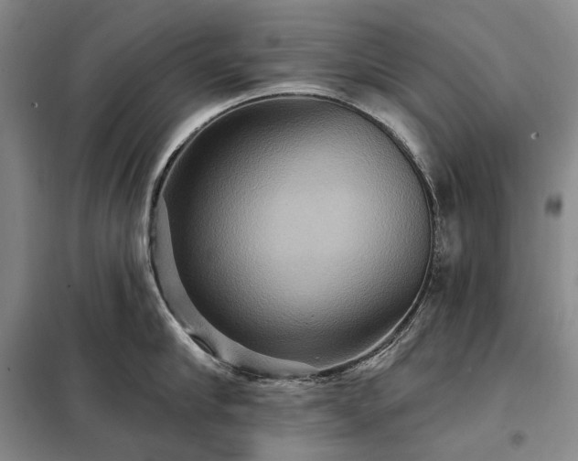X0000098210910200805011208