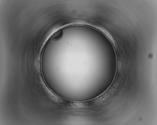 X0000098210911200805011208