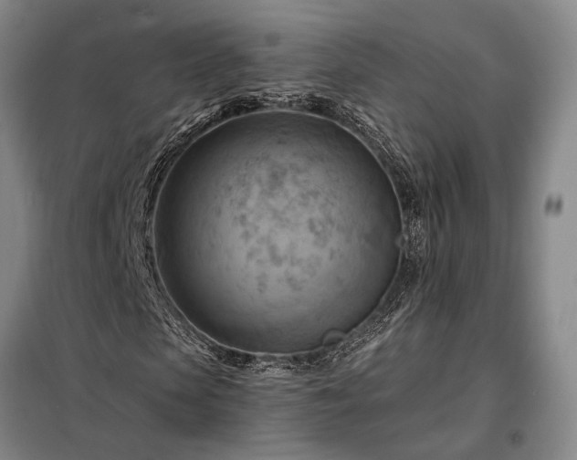 X0000098210913200805011207