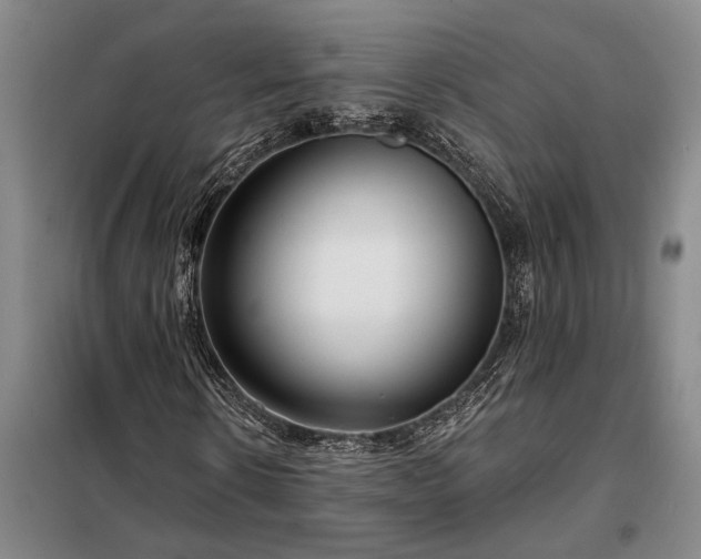 X0000098210914200805011207