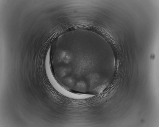X0000098210915200805011207