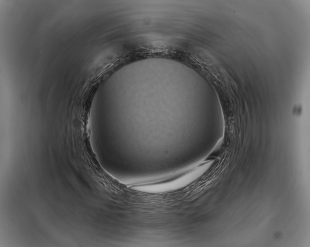 X0000098210916200805011207