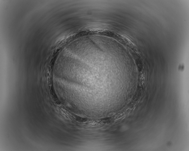 X0000098210917200805011207