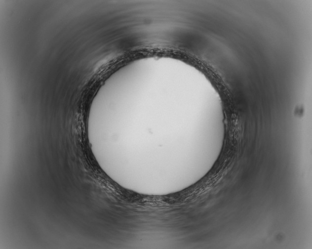 X0000098210918200805011207