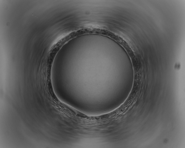 X0000098210919200805011207