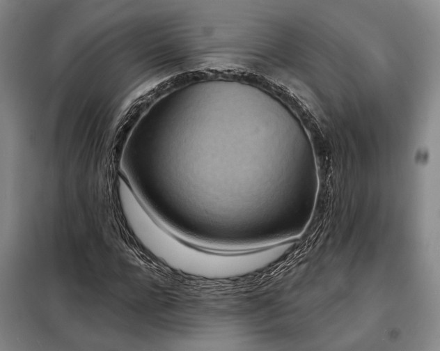 X0000098210920200805011207