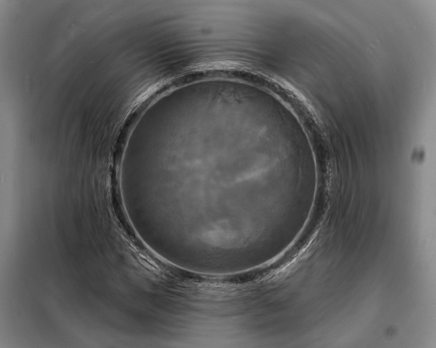 X0000098210921200805011207