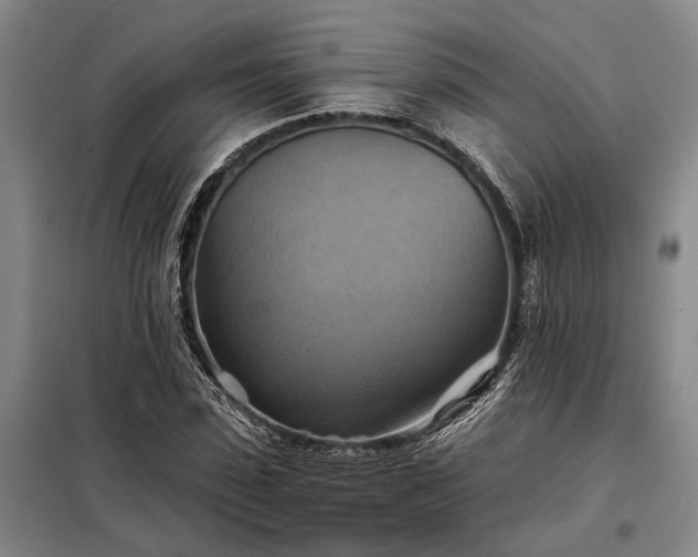 X0000098210923200805011207