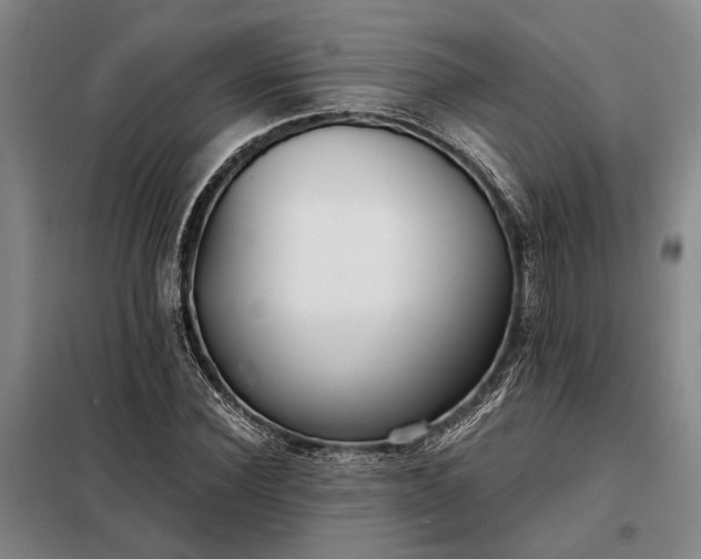 X0000098210924200805011207