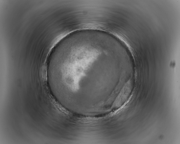 X0000098210925200805011207