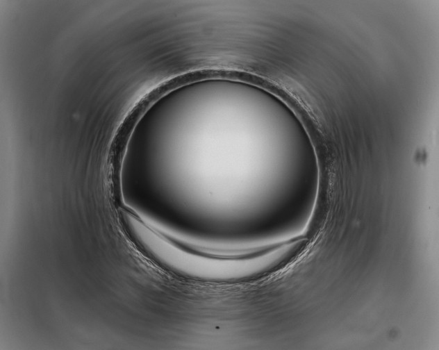 X0000098210926200805011207