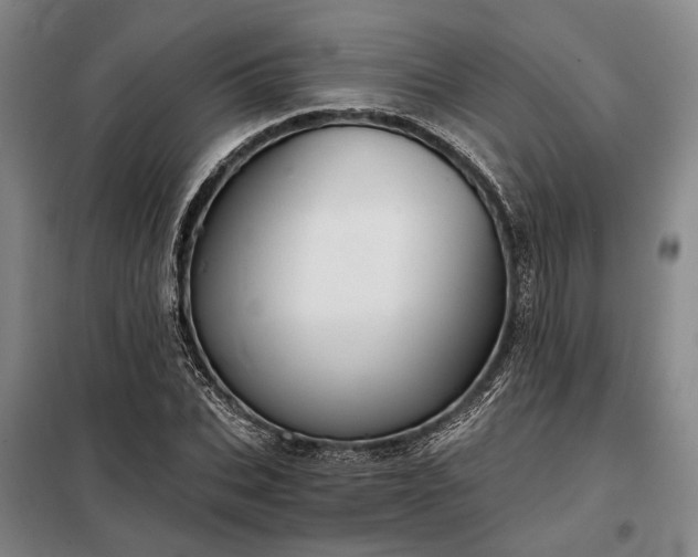 X0000098210927200805011207