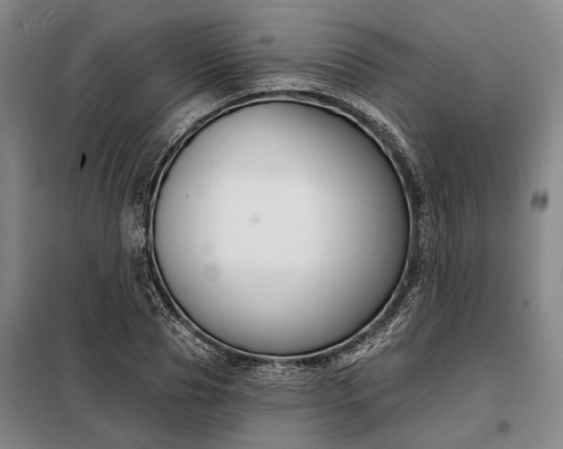 X0000098210929200805011207
