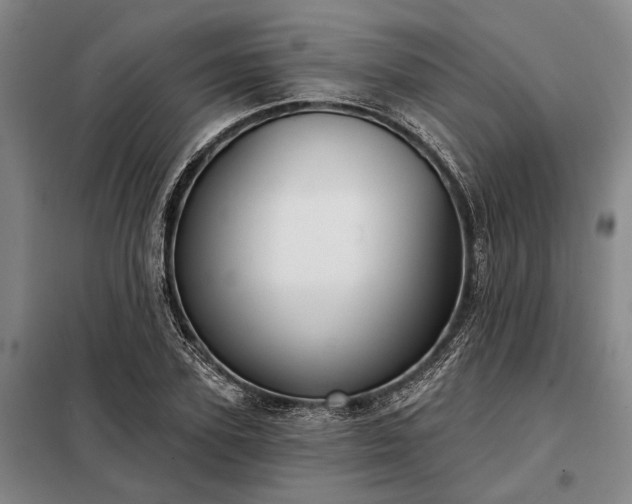 X0000098210931200805011207