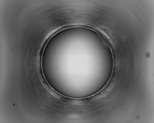 X0000098210933200805011207