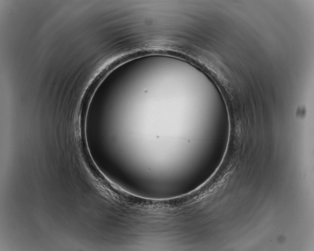 X0000098210934200805011207