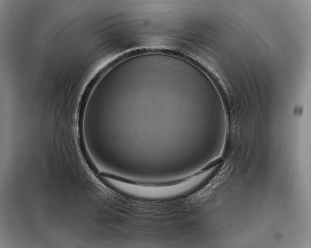 X0000098210935200805011207