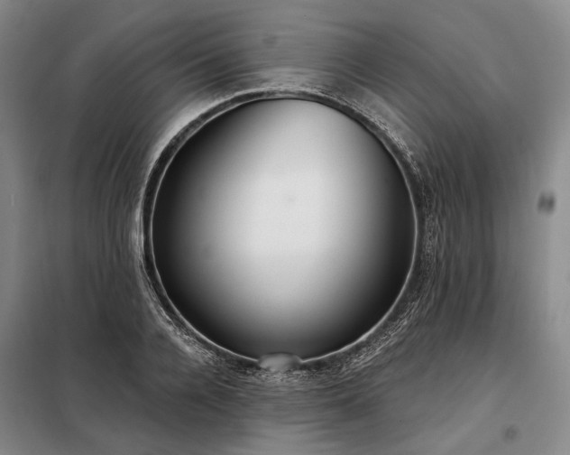 X0000098210936200805011207