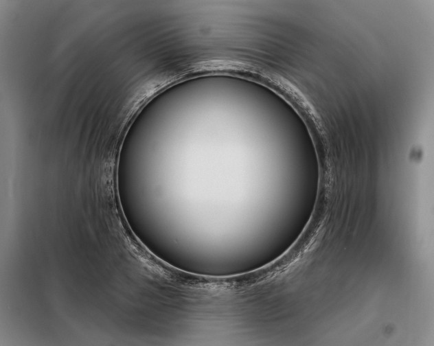 X0000098210937200805011207