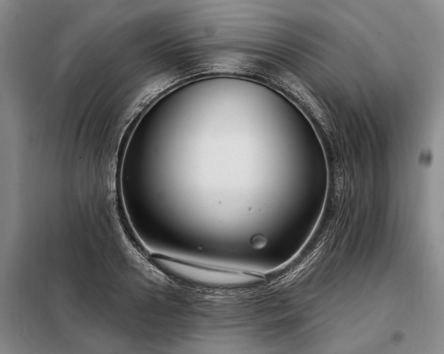 X0000098210938200805011207
