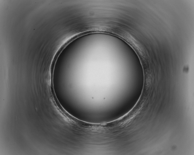 X0000098210940200805011207