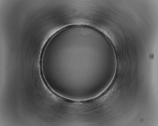 X0000098210943200805011207